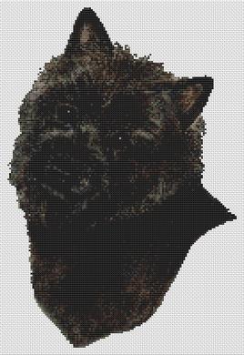 Black Brindle Cairn Terrier